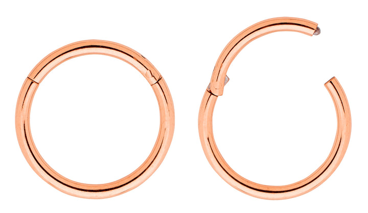 1 Pair 16G Titanium Polished Hinged Hoop Segment Rings Sleeper Earrings
