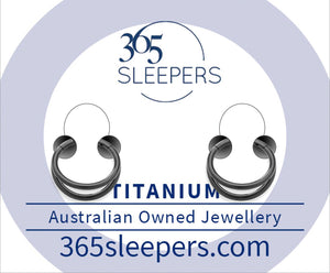 1 Pair 16G Titanium Double Hinged Hoop Segment Rings Sleeper Earrings