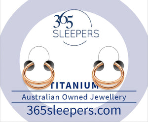 1 Pair 16G Titanium Double Hinged Hoop Segment Rings Sleeper Earrings