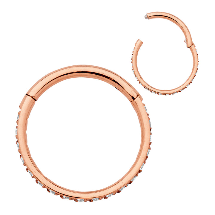 1 Paar 16G Titan Pave Edelstein Set Scharnier Creolen Segment Ringe Sleeper Ohrringe