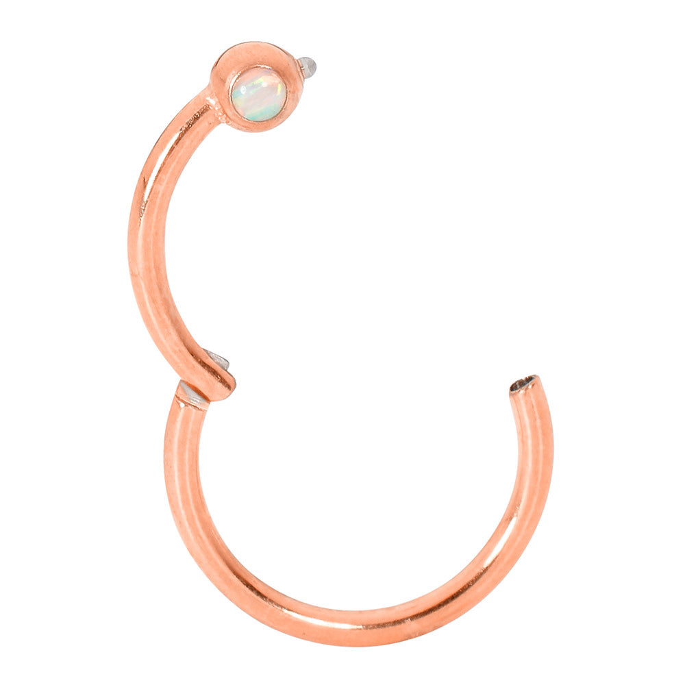 2 Pieces Surgical Steel 16G Opal Hinged Hoop Segment Rings Sleeper Earrings 8mm - 10mm