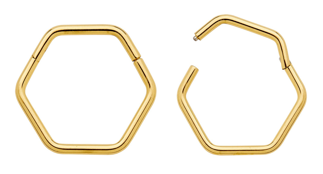 1 Pair 18G Titanium Hexagonal Hinged Hoop Segment Rings Sleeper Earrings
