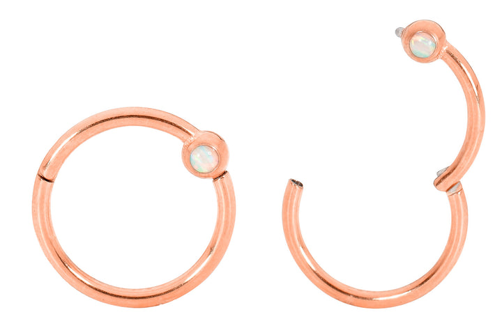1 Pair 16G Stainless Steel Opal Hinged Hoop Segment Rings Sleeper Earrings