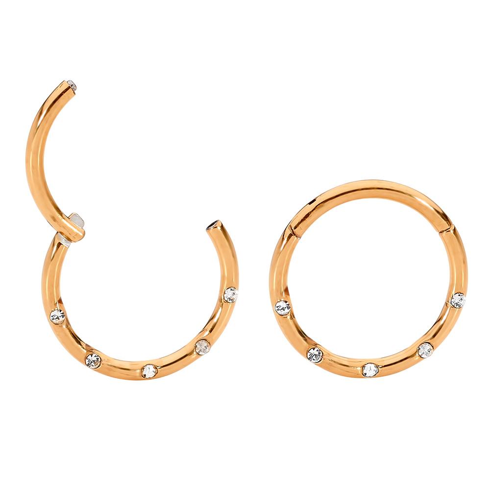 1 Pair 16G Titanium Punch Set Gem Hinged Hoop Segment Rings Sleeper Earrings