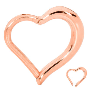 1 Piece 16G Stainless Steel Heart Hinged Hoop Segment Ring Piercing Earring